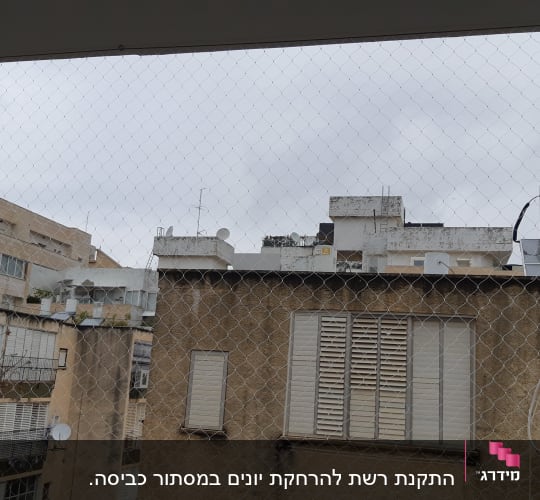 רשת הגנה נגד יונים על רקע בניינים
